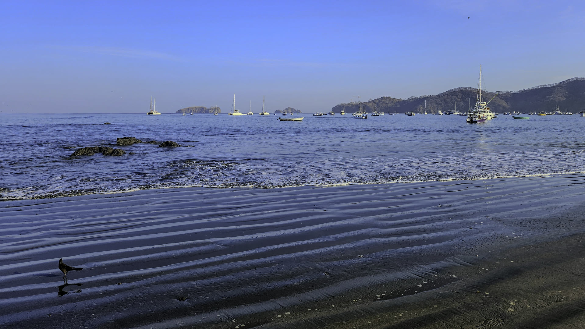 Rippled dark sand and a lone shorebird at the tide line of a calm Costa Rican bay, with sailboats anchored offshore below forested headlands